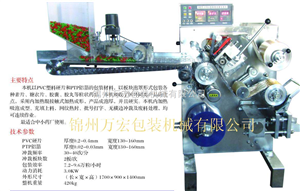 广州小型泡罩胶囊灌装机生产商